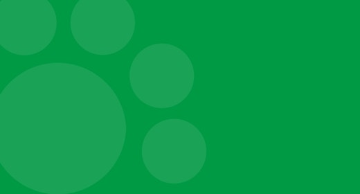 Crate training your puppy