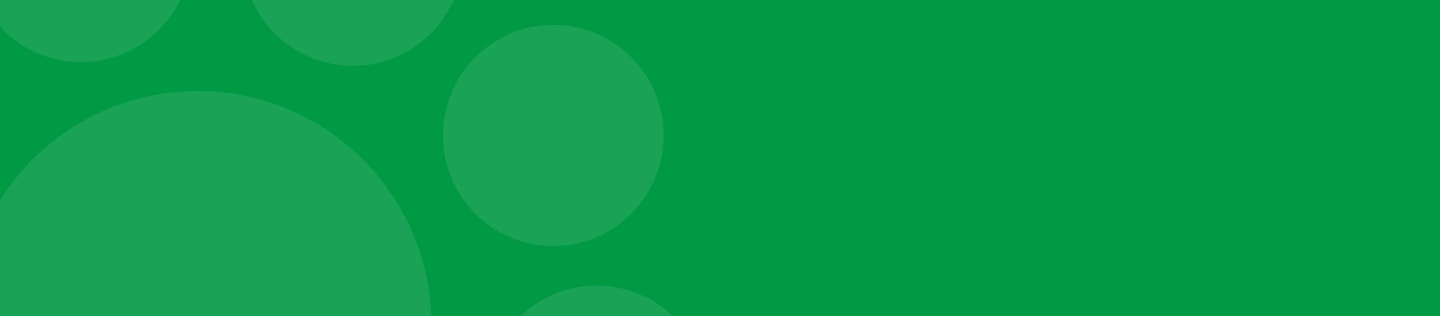 article detail banner