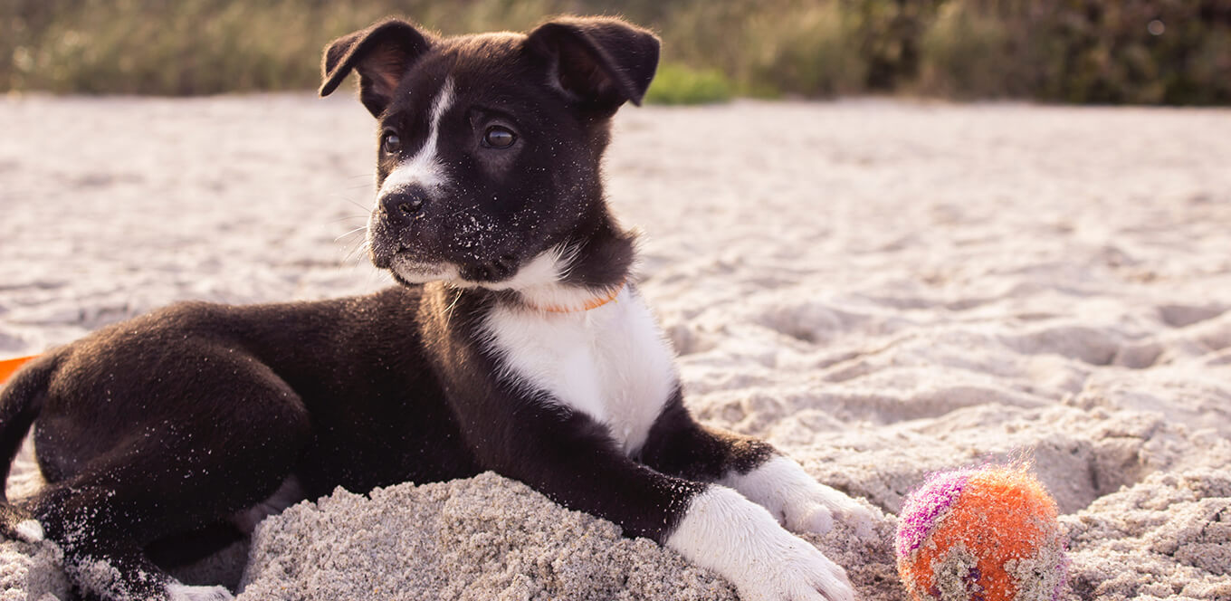 article feeding tips for the first 6 months header