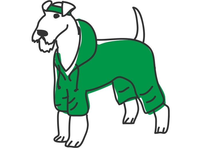 How Much Exercise Does My Dog Need?