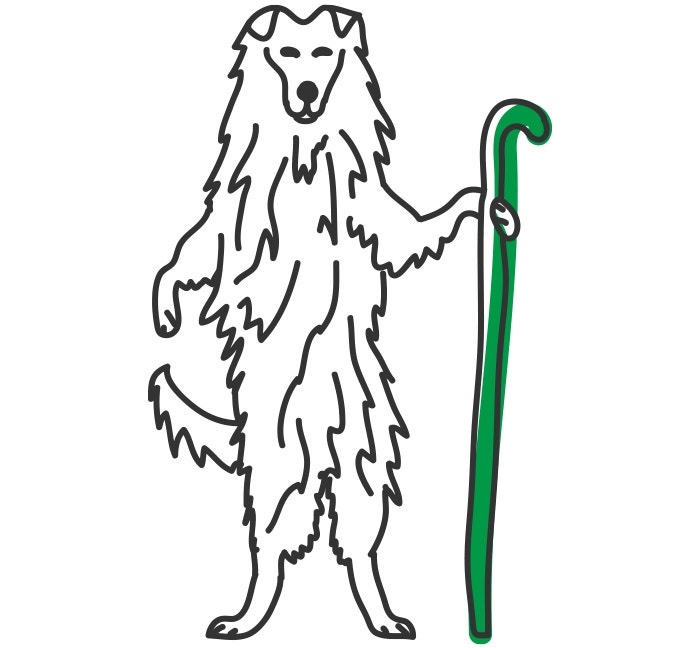 How Much Exercise Does My Dog Need?