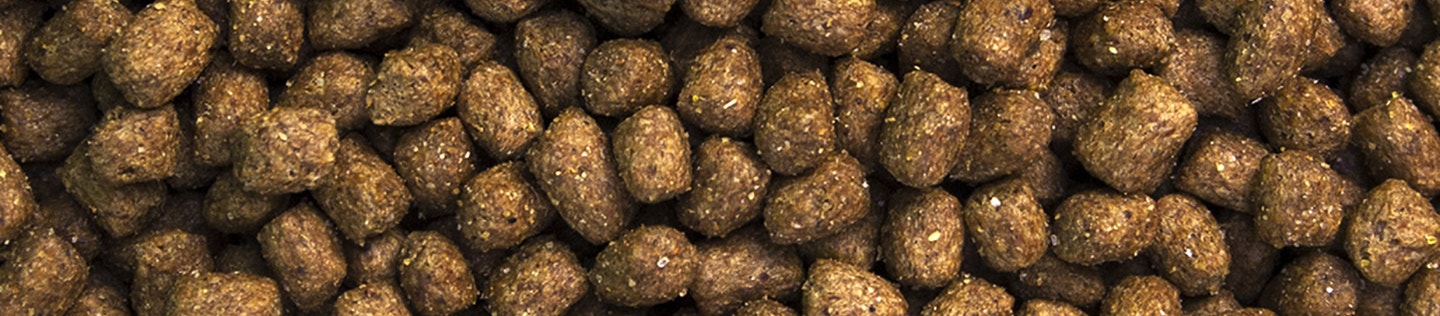 Is Your Puppy Ready for Adult Dog Food?
