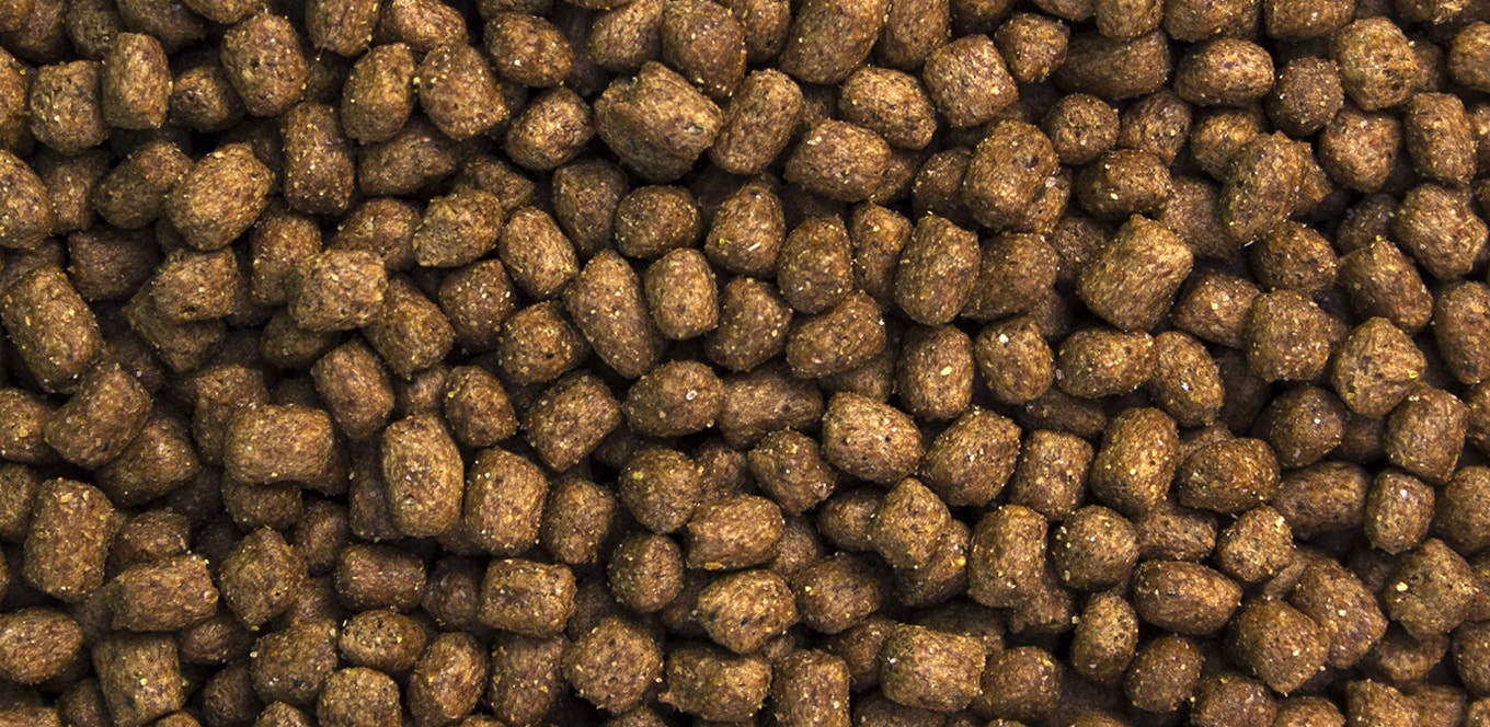 is your puppy ready for adult dog food 0