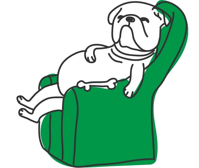 How Much Exercise Does My Dog Need?