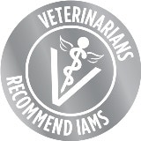 Why Your Dog’s Annual Vet Visits Are Worth the Cost