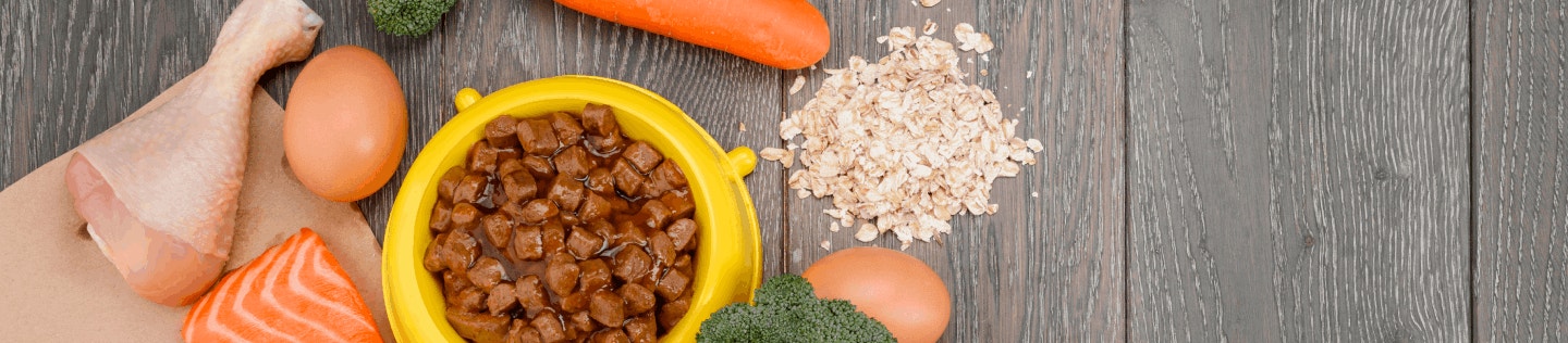 Cat Nutrition Food and Importance of Protein for Cat