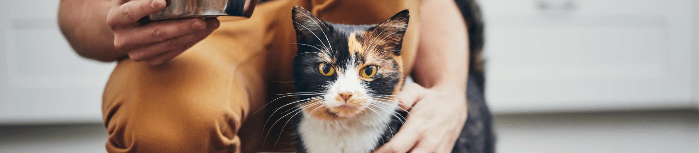 cat-articcat article detail bannerle-detail-banner 