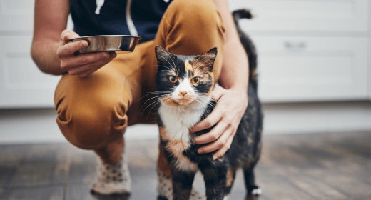 cat-articcat article detail bannerle-detail-banner -mob