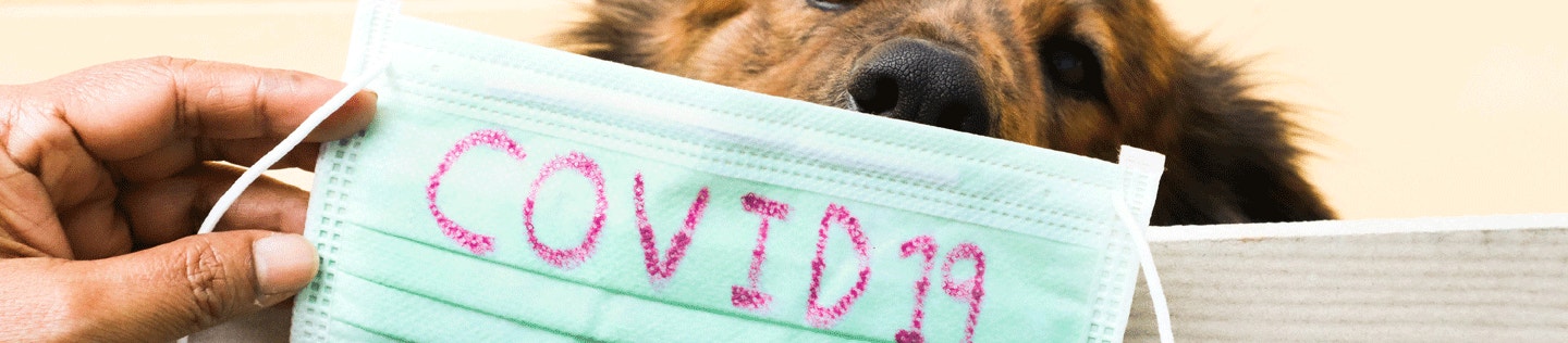 Our Response to COVID-19