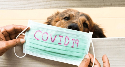 Our Response to COVID-19