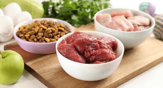 Important Nutrients in Our Dog Foods