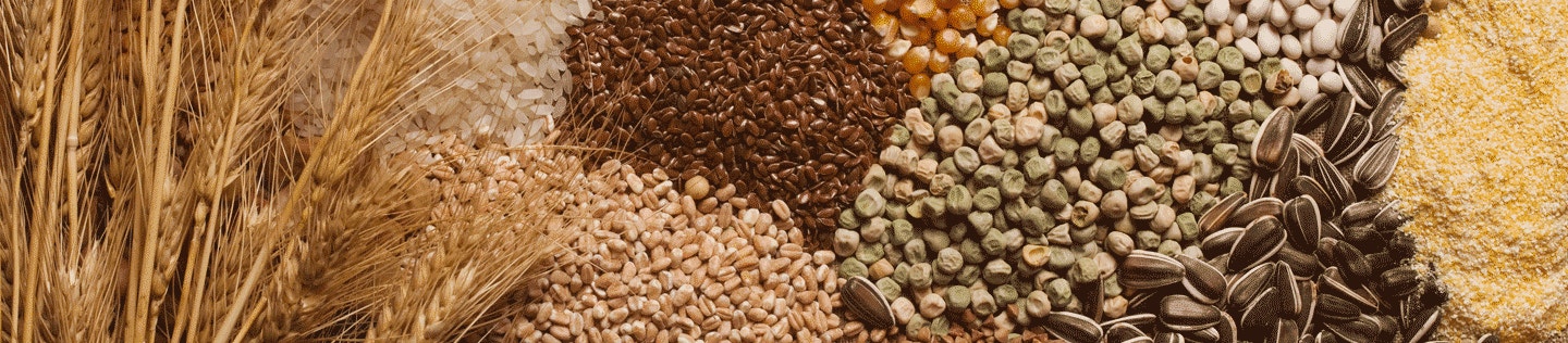 Carbohydrate Sources Found in IAMS™ Dog Foods