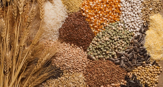 Carbohydrate Sources Found in IAMS™ Dog Foods