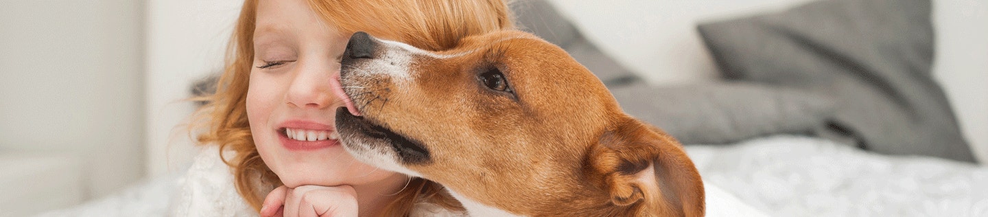 Why Do Dogs Lick People?