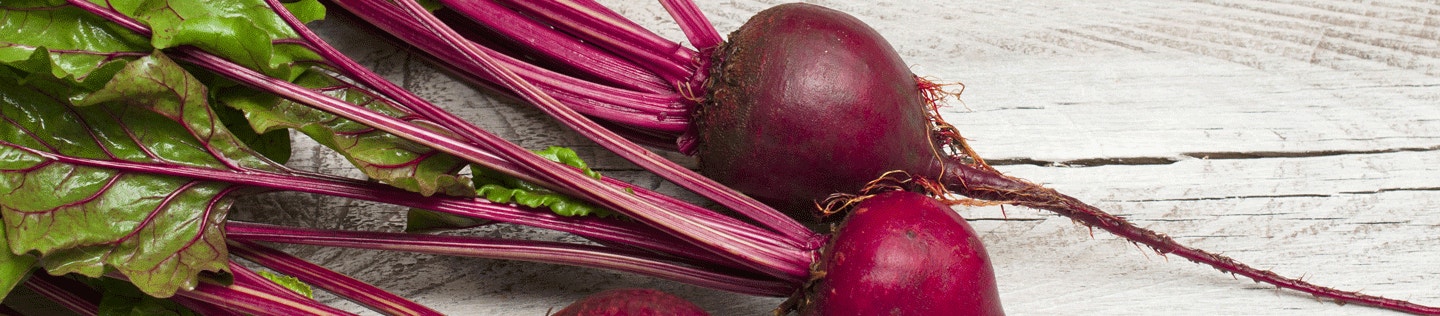 Why Beet Pulp is Good for Dogs