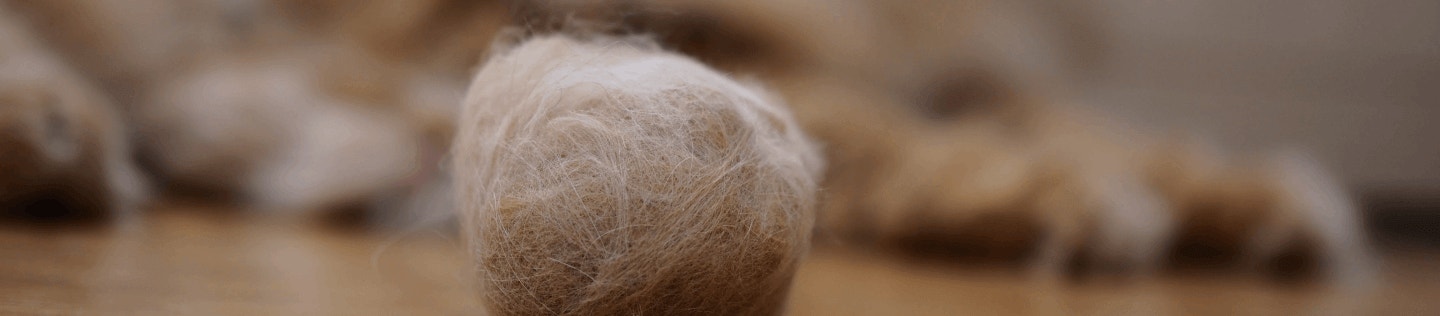 How to Care for Your Cat’s Hairball Issues