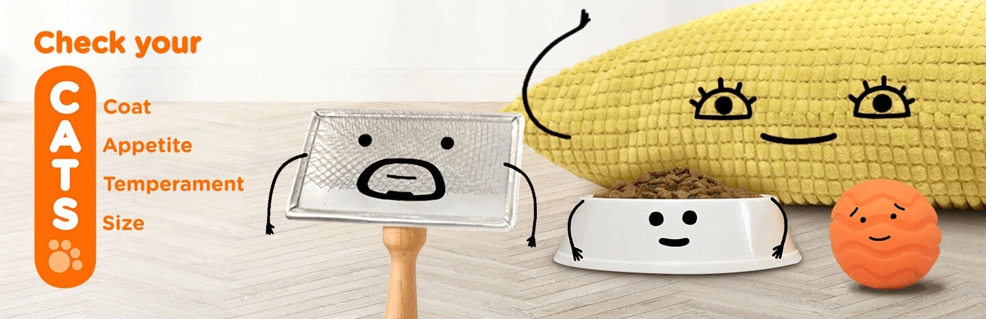 check-your-cats-hero