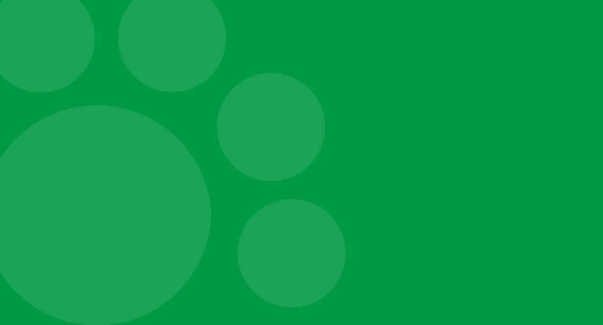 A Comprehensive Puppy Food Guide