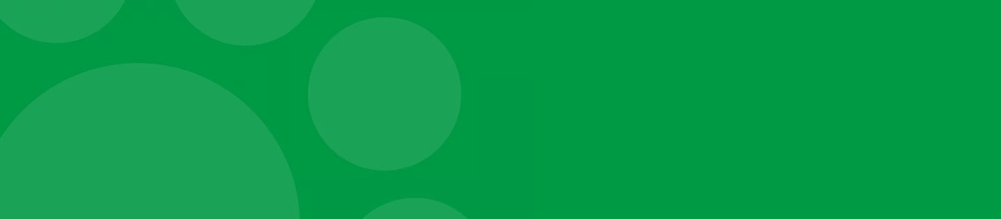 dog article banner image