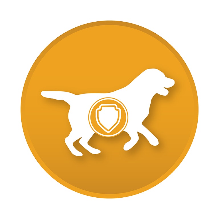 <p><strong>SUPPORTS NATURAL BODY DEFENSES</strong><br><strong>Helps body fight against bacterial, viral, fungal, and parasitic infections</strong></p>