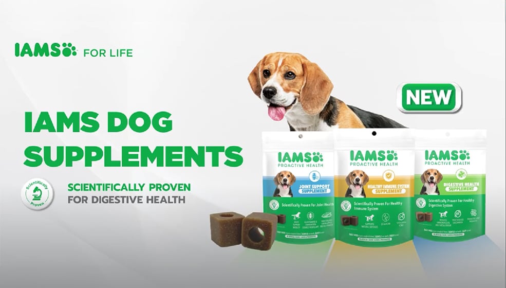 digestive health video