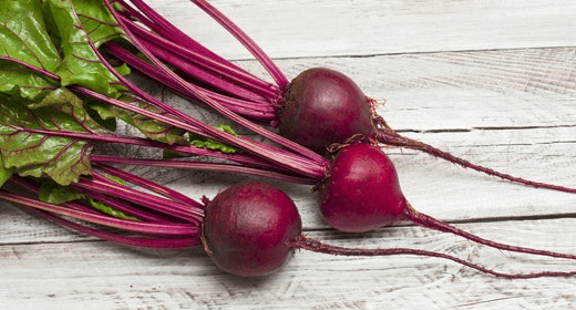 Why Beet Pulp is Good for Dogs