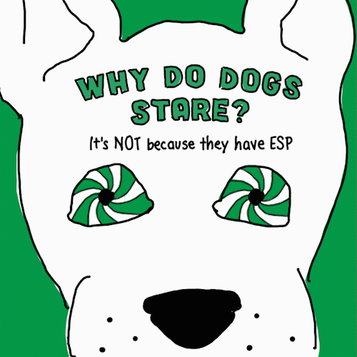 Reading Your Dog's Body Language