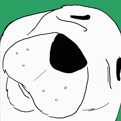 Why Do Dogs Sleep So Much? We Take an A to Zzz Look at the Issue