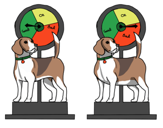 Is Your Dog Overweight?