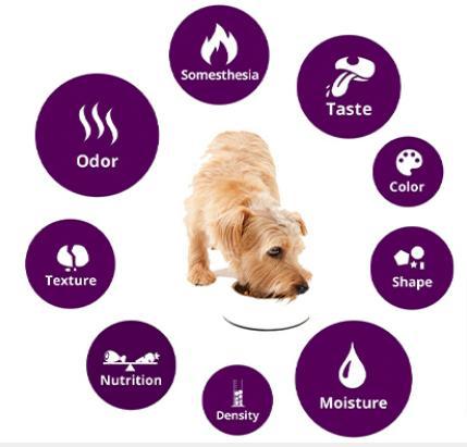 Dog Food Palatibility
