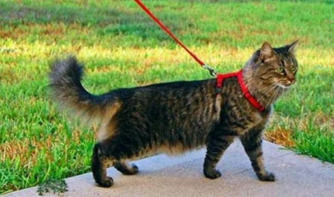 Incorporate Outdoor Activities Or Excises Into The Routine